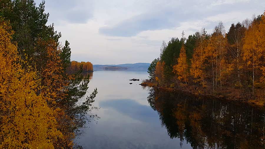 Ljungan